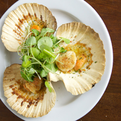 Scallops